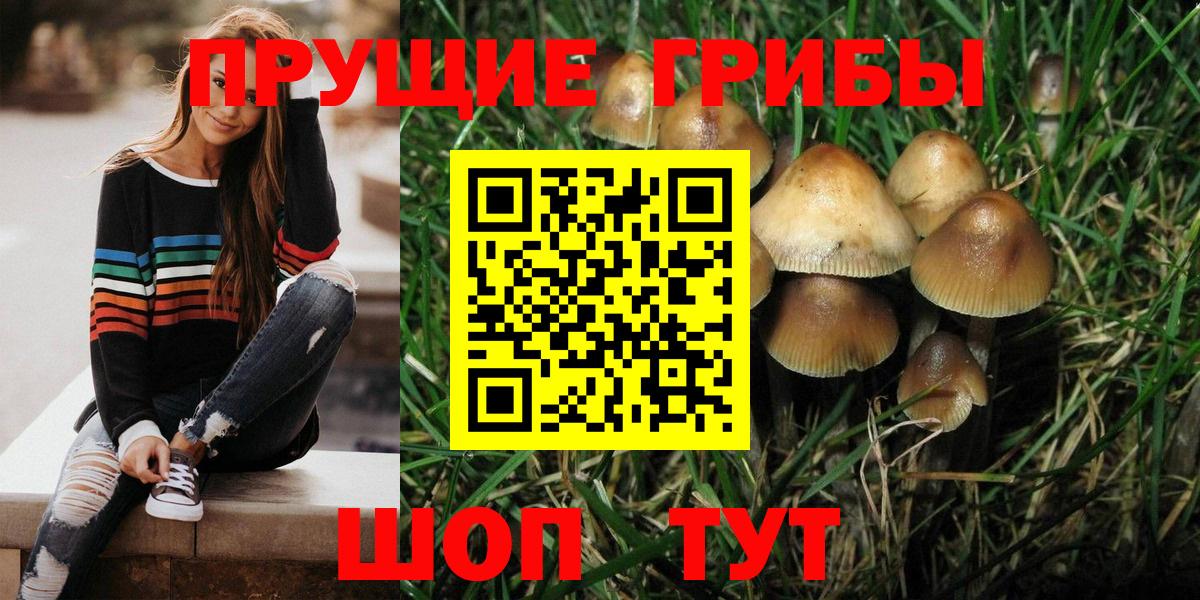 Похвистнево  Псилоцибиновые грибы прущие грибы  Вход с VPN 